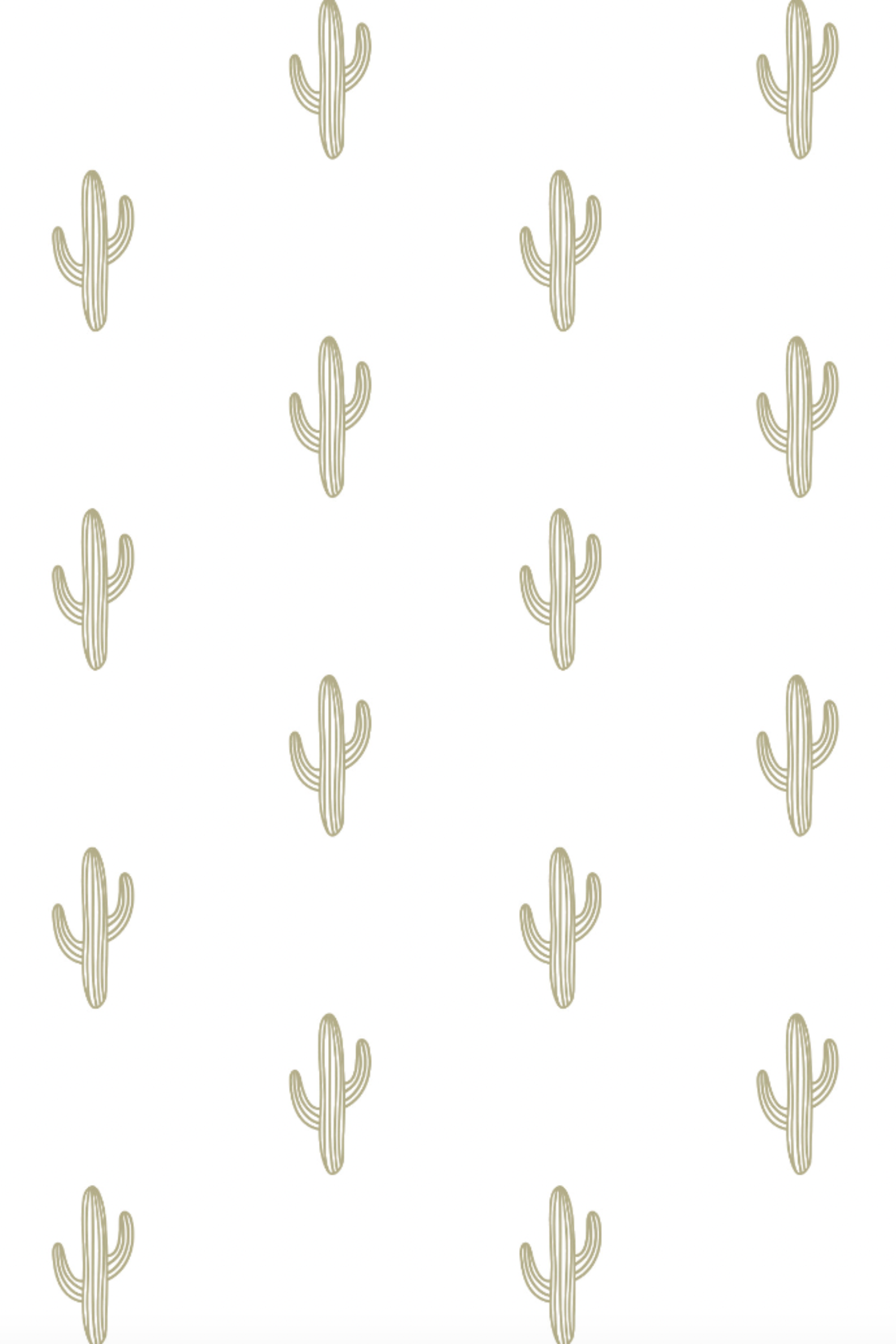 Cami Cropped Pant PJ Set - Cactus Print