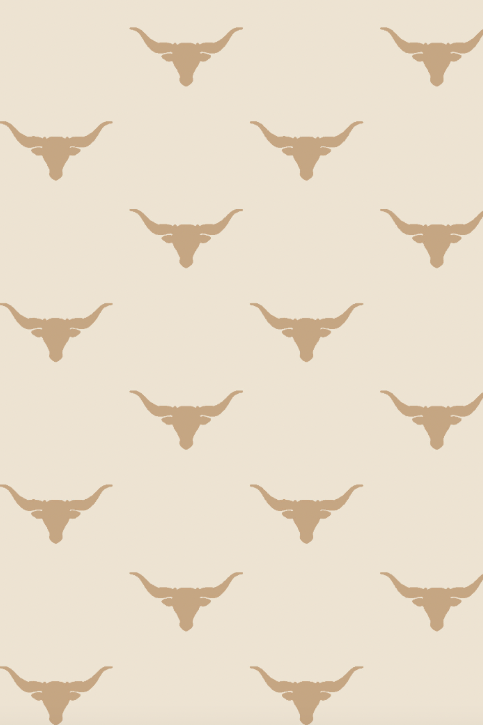 Long Sleeve PJ Set - Longhorn Print